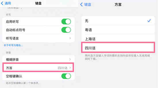 苹果14键盘语音输入怎么设置自己地方方言 苹果14键盘方言设置方法详解