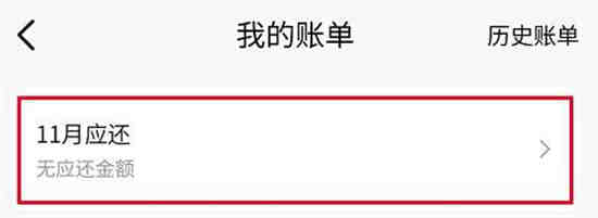 抖音月付账单在哪查看 抖音月付账单查询教程一览