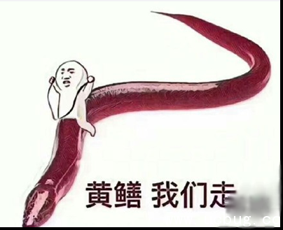 网络热词＂黄鳝是什么梗＂ 黄鳝女主播事谁