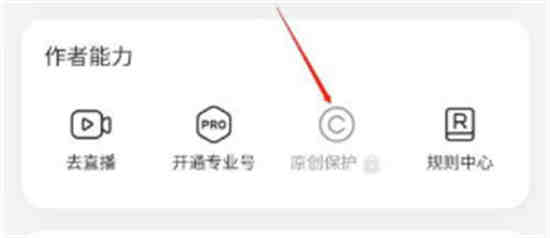 小红书原创保护在哪申请 小红书原创保护申请技巧介绍