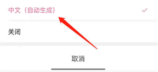 哔哩哔哩短视频里的字幕怎么打开 哔哩哔哩短视频里的字幕打开方法