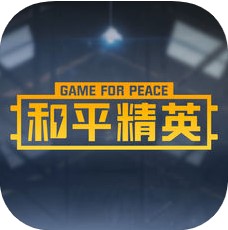 和平精英外卦穿墙版