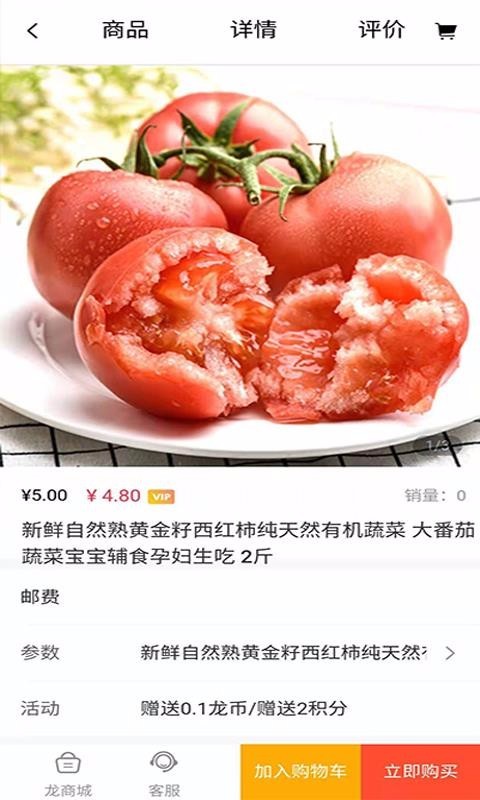 龙之家官方版截图