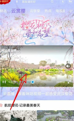 武大云赏樱入口截图