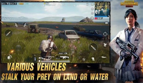 pubgmobile亚服截图