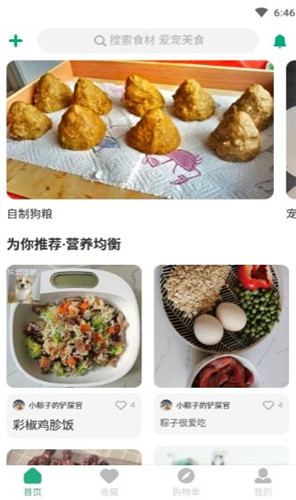 宠物食谱制作教学截图