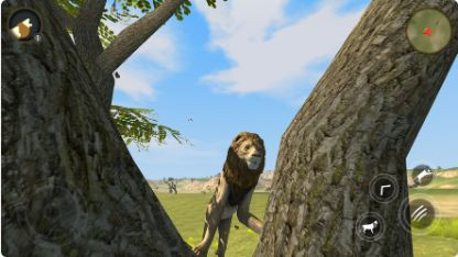 野生狮子生存模拟器截图