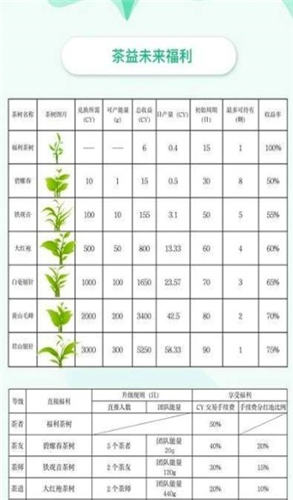 茶益未来截图