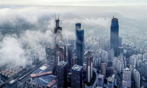 上海雨后大片