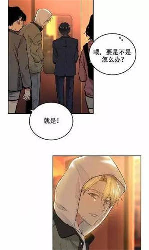 焦点漫画免费无遮休