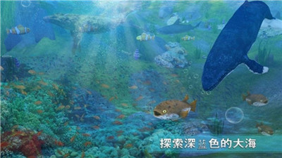 全民养鲸鱼红包版截图