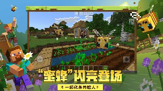 我的世界国际版免登录解锁版