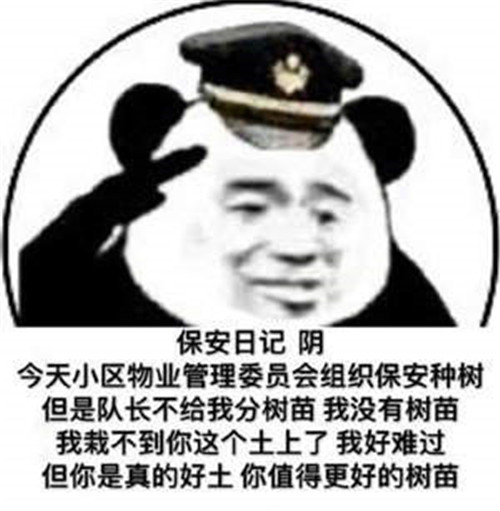 保安在哪里表情包截图