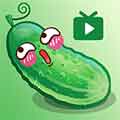 黄瓜直播成视频人app