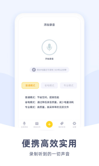 口袋录音机ios版截图