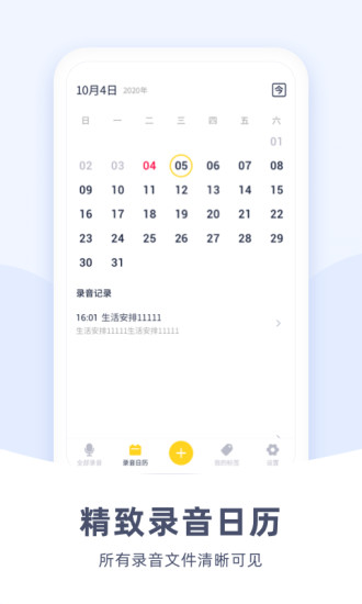 口袋录音机ios版截图