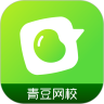 青豆网校app