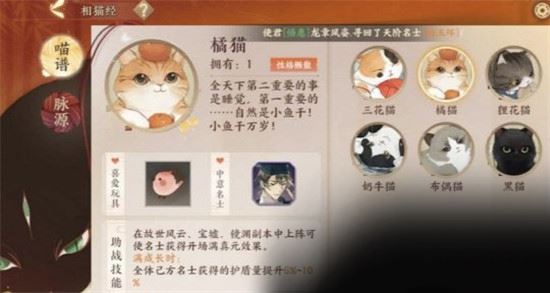 忘川风华录怎么养猫 忘川风华录养猫技巧介绍