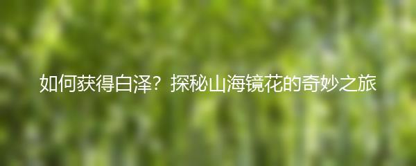 如何获得白泽 探秘山海镜花的奇妙之旅