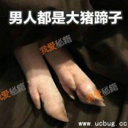 延禧攻略大猪蹄子是什么梗_大猪蹄子什么意思