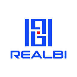 realbiapp专业版