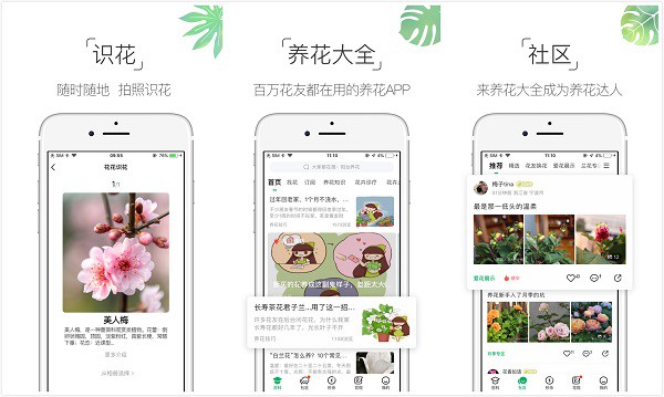 养花大全App：一个高质量养花垂直类软件