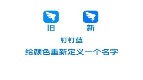 钉钉怎么关闭天气信息 钉钉天气信息关闭教程