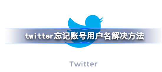 twitter忘记账号用户名怎么解决twitter忘记账号用户名解决方案