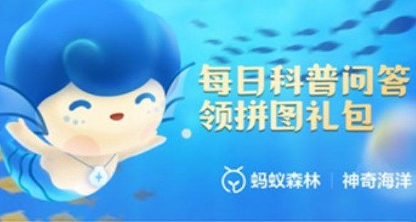 支付宝会进行夏眠的海洋动物是什么？6月9日神奇海洋科普问答答案